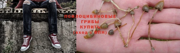 спайс Абдулино