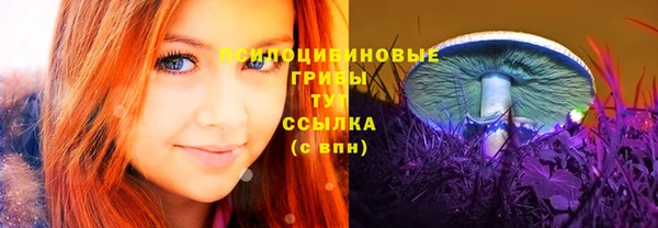 МДПВ Абинск