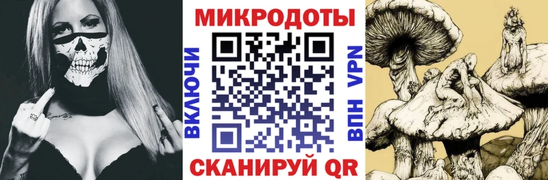 Псилоцибиновые грибы Psilocybe  Нефтеюганск 